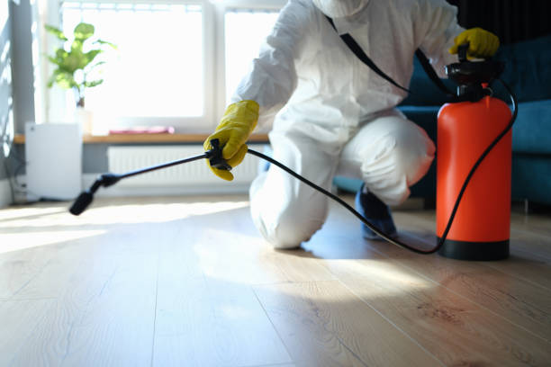 Reliable Odor Removal contractor in Cedar Grove, FL by Trauma Clean Pros